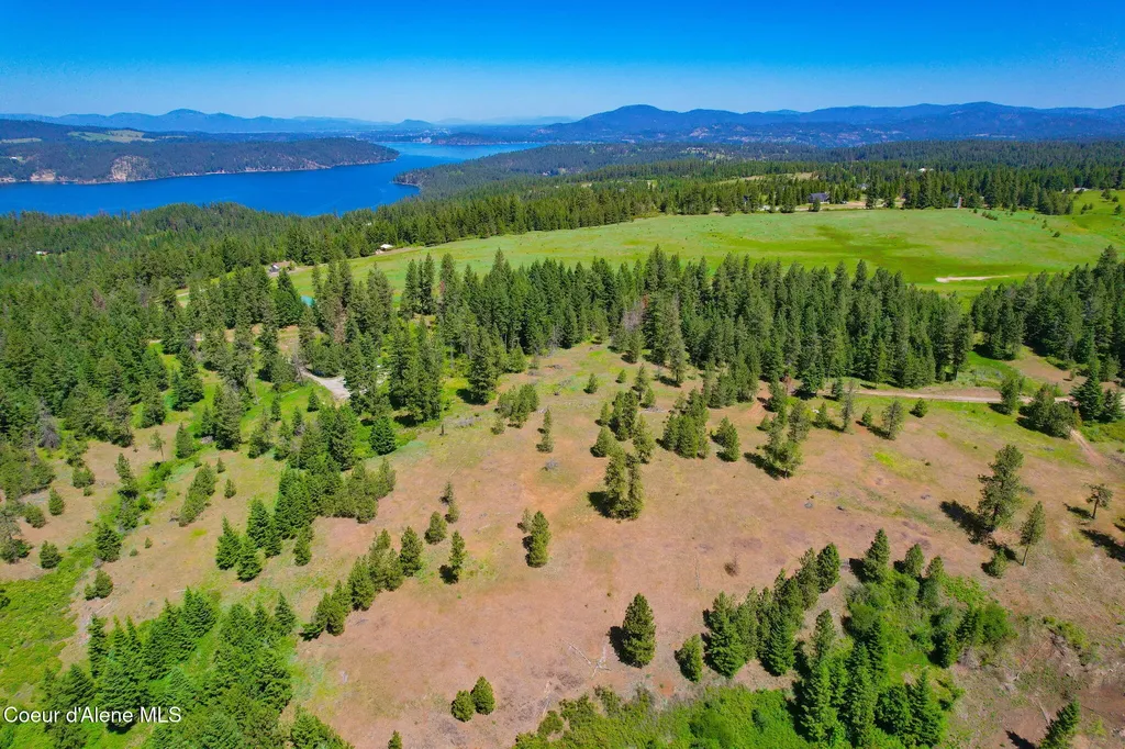 Lot 1 S Skyview Road Harrison ID 83833