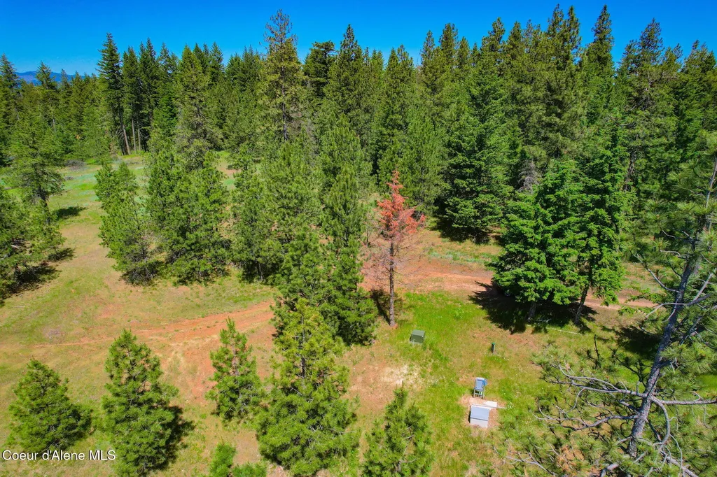 Lot 1 S Skyview Road Harrison ID 83833