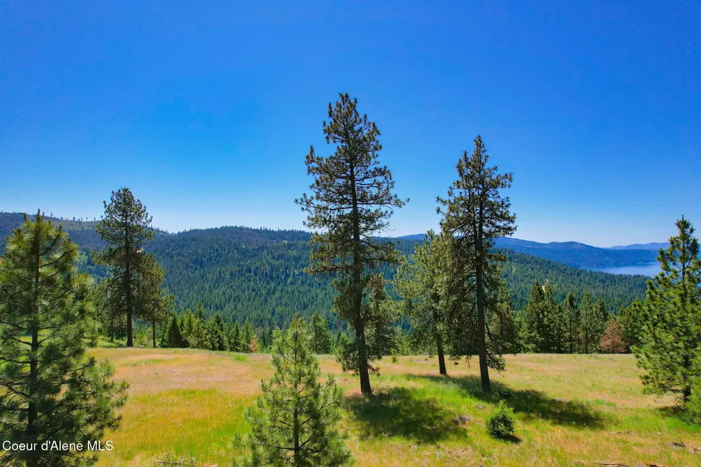 Lot 1 S Skyview Road Harrison ID 83833