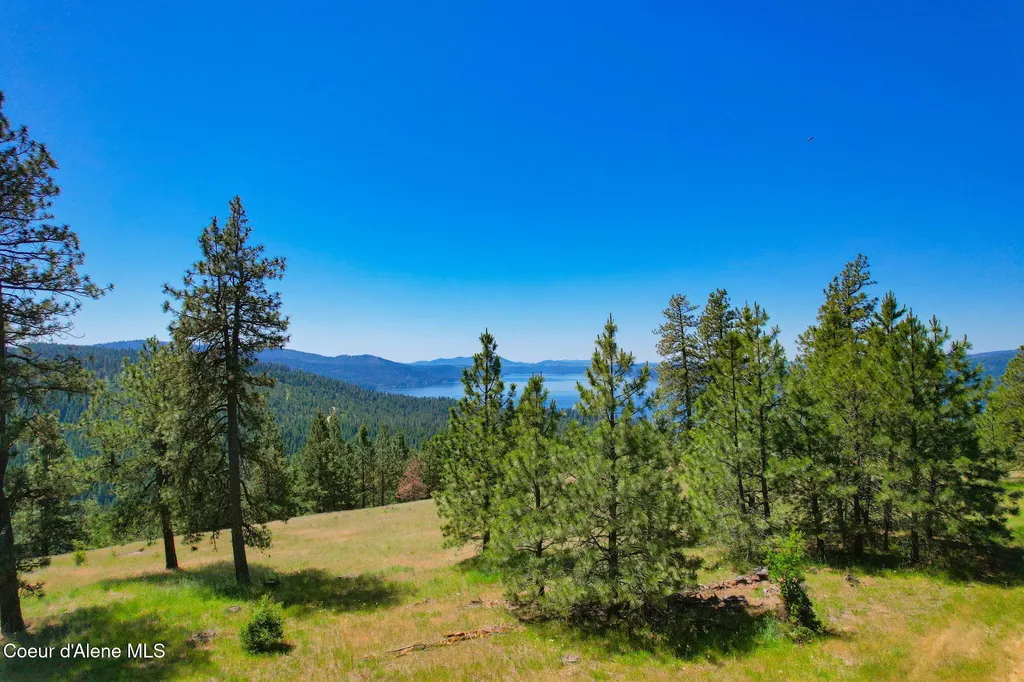Lot 1 S Skyview Road Harrison ID 83833