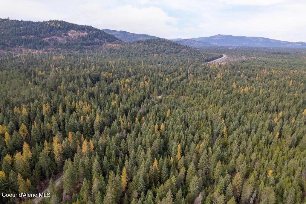 Lot 3 Peak Road Spirit Lake ID 83869