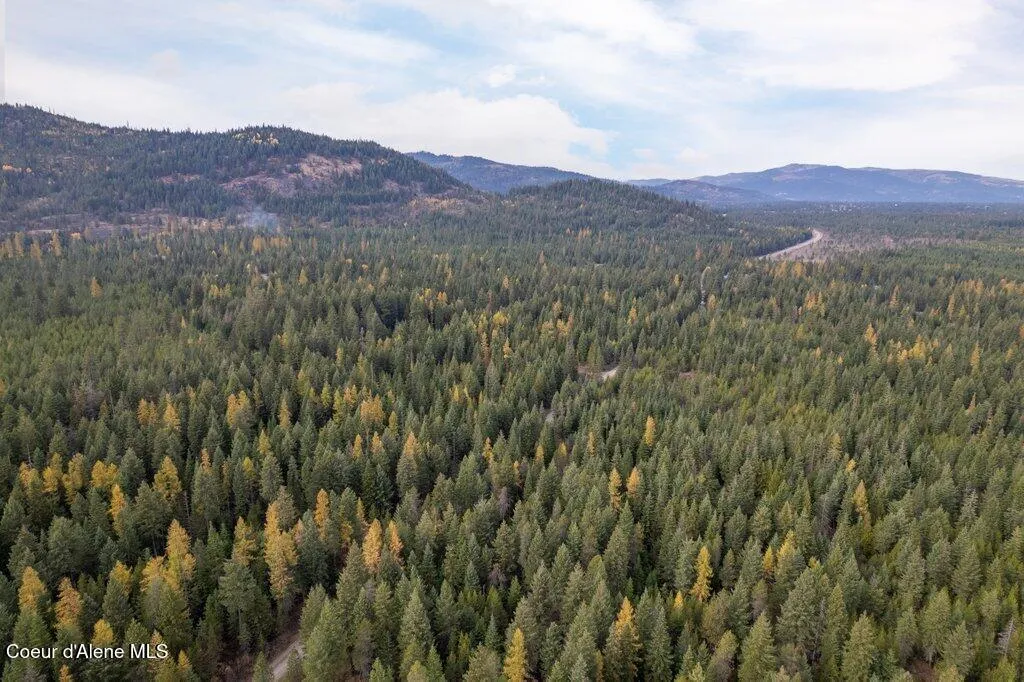 Lot 3 Peak Road Spirit Lake ID 83869