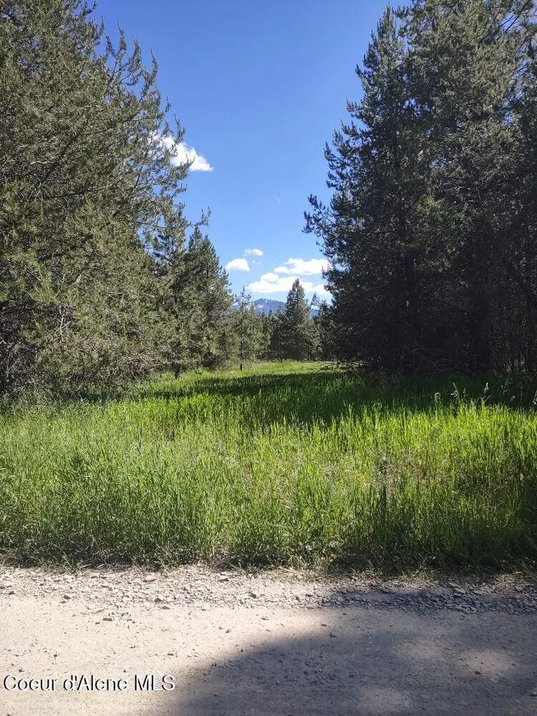 Lot 1 Champs Road Bonners Ferry ID 83805