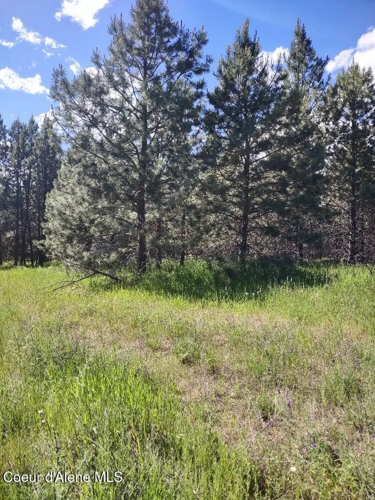 Lot 1 Champs Road Bonners Ferry ID 83805