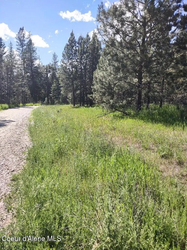 Lot 1 Champs Road Bonners Ferry ID 83805