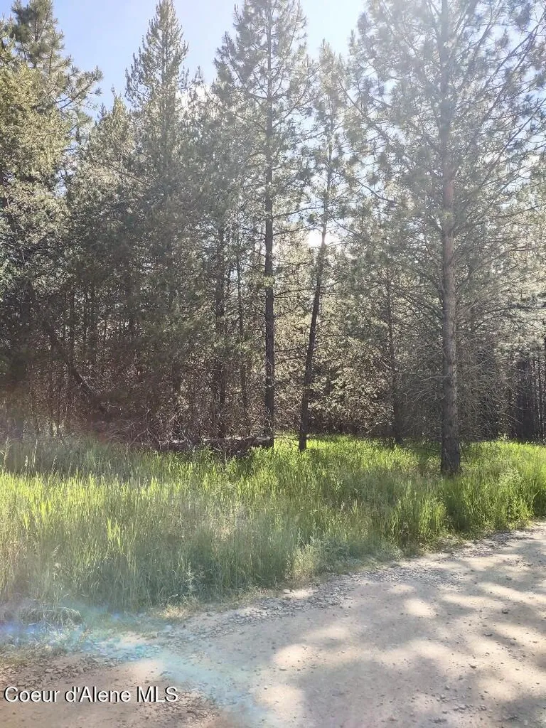 Lot 1 Champs Road Bonners Ferry ID 83805