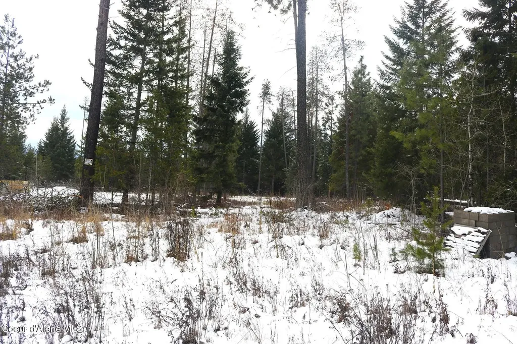 31149 N Old Highway 95 Athol ID 83801