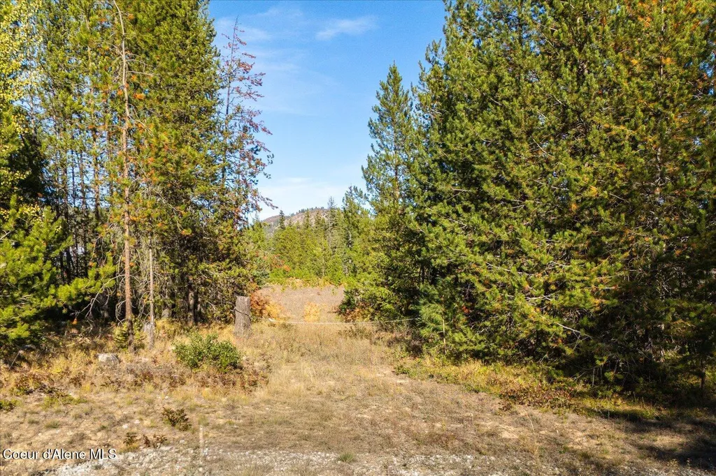 Nka Coyote Trail Newport WA 99156