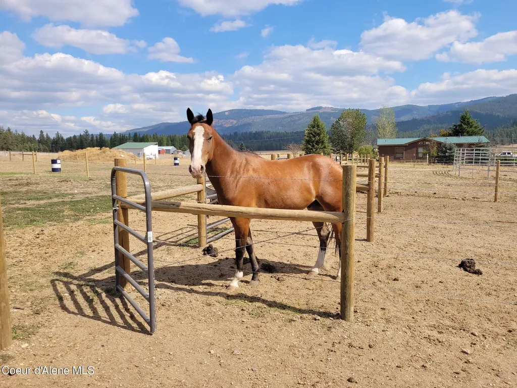 229 Mcdonald Creek Road Blanchard ID 83804