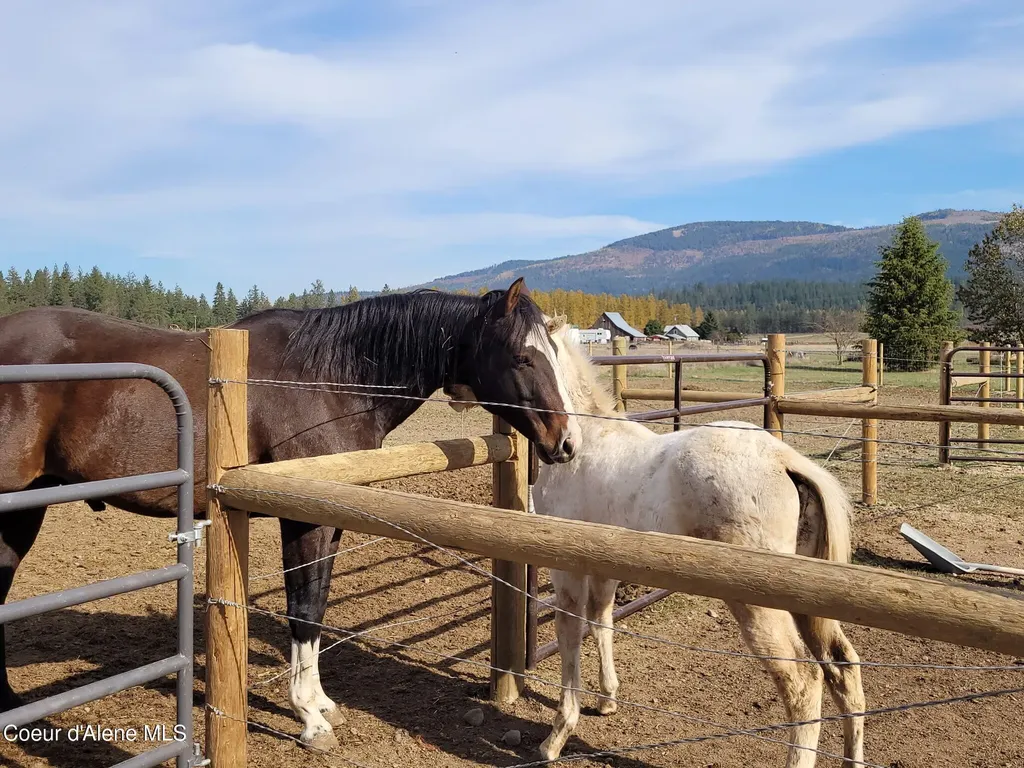 229 Mcdonald Creek Road Blanchard ID 83804