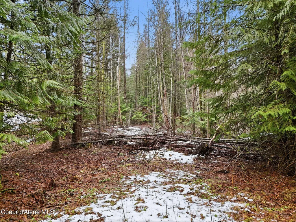 12053 Dufort Road Priest River ID 83856