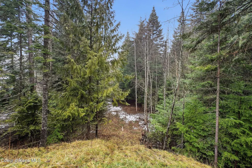 12053 Dufort Road Priest River ID 83856