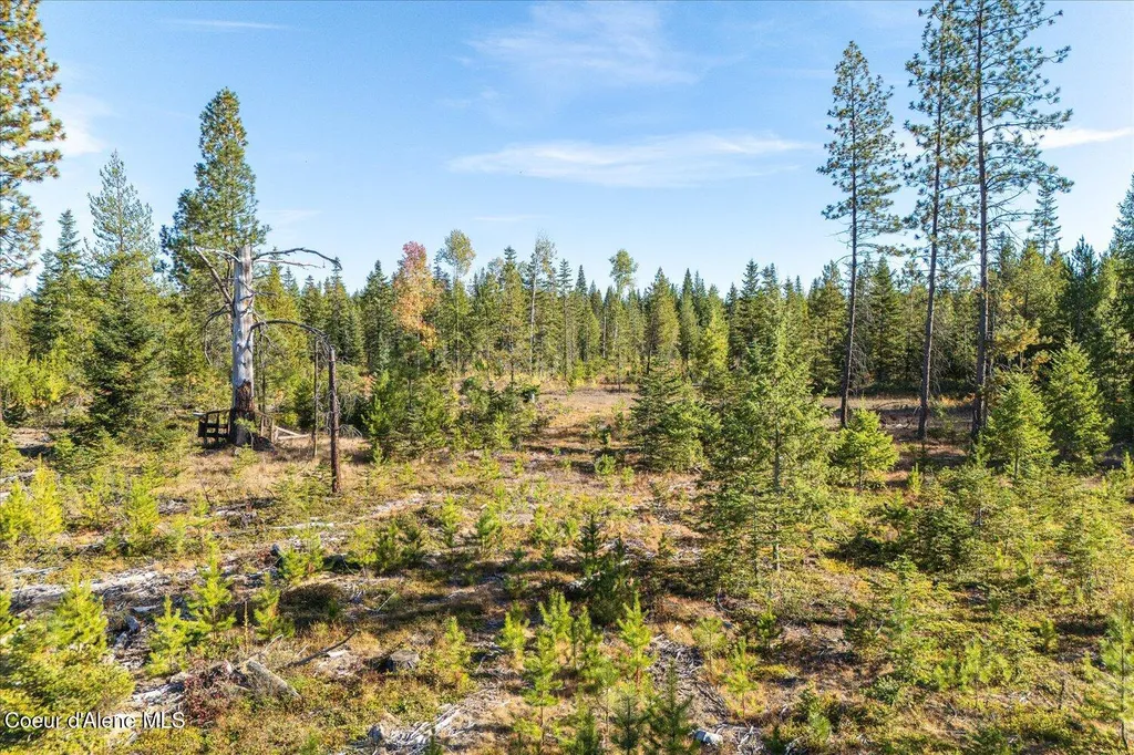 Nka Coyote Trail Newport WA 99156