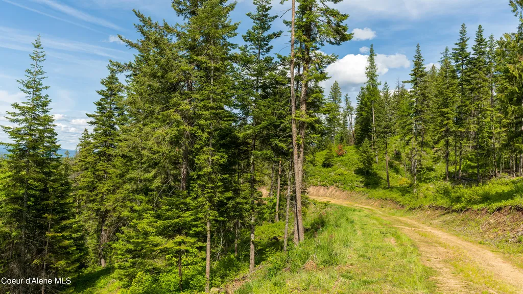 Highway 97 Harrison ID 83833