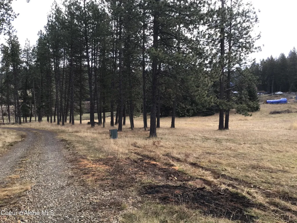 Highway 97 Harrison ID 83833
