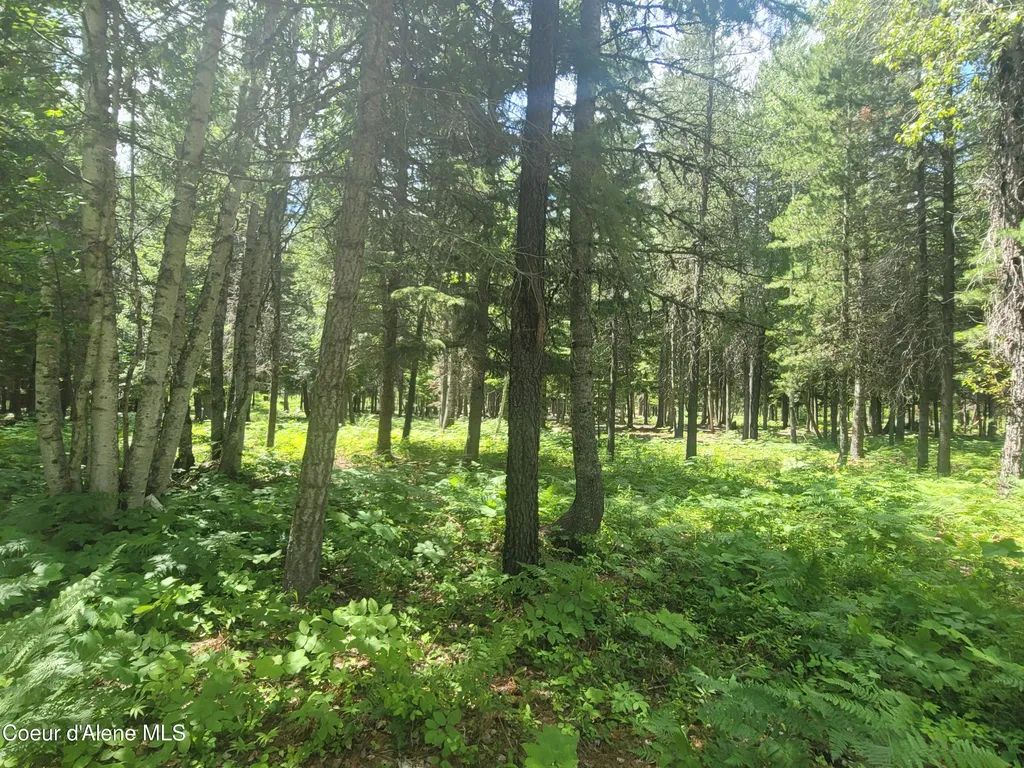150 Ranch Road Naples ID 83847
