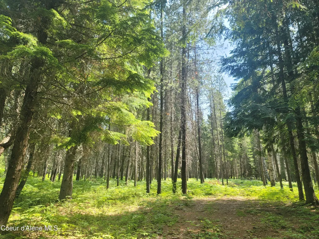 150 Ranch Road Naples ID 83847