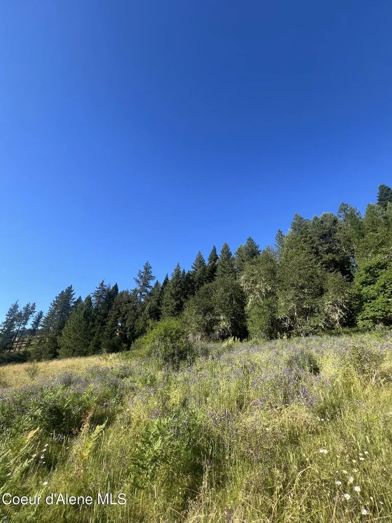 Nka Clearcreek Road Kooskia ID 83539