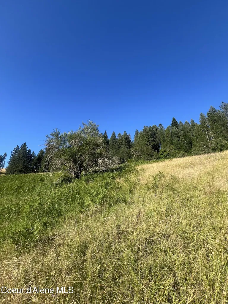 Nka Clearcreek Road Kooskia ID 83539