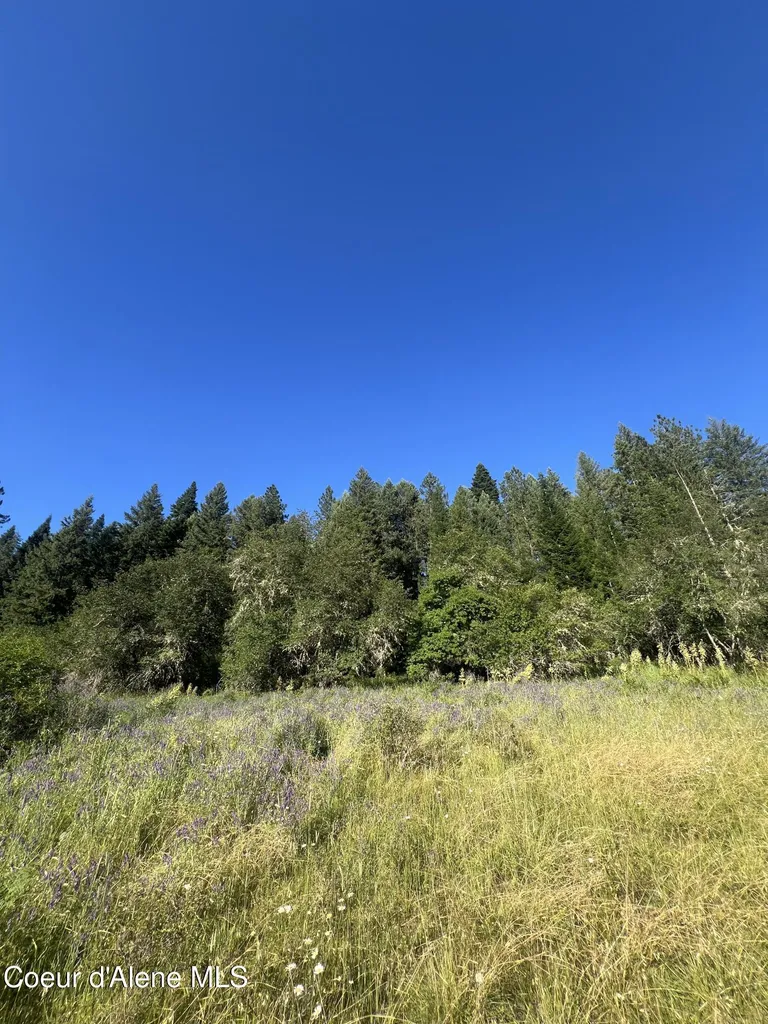 Nka Clearcreek Road Kooskia ID 83539
