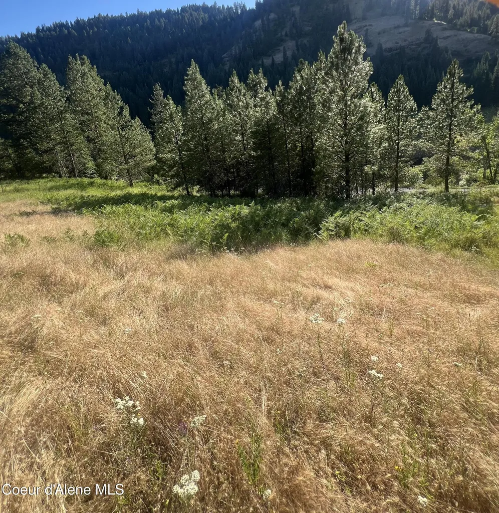 Nka Clearcreek Road Kooskia ID 83539