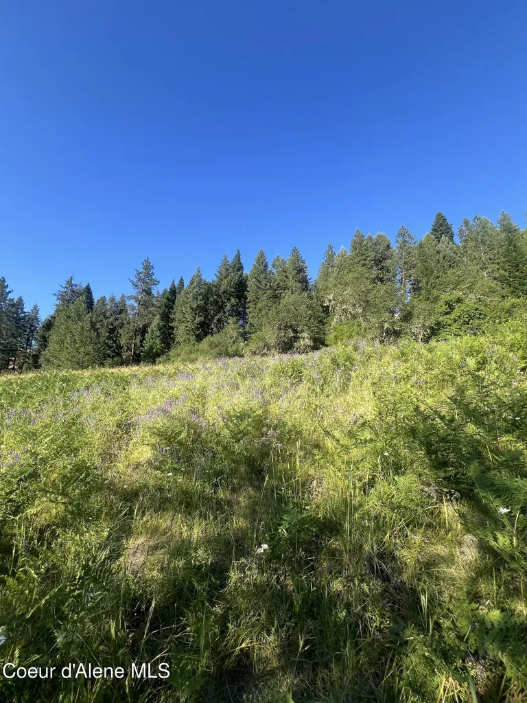 Nka Clearcreek Road Kooskia ID 83539