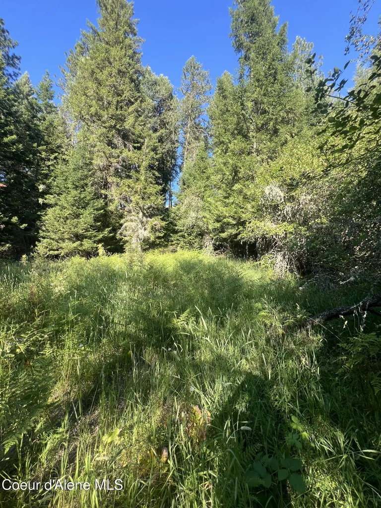 Nka Clearcreek Road Kooskia ID 83539