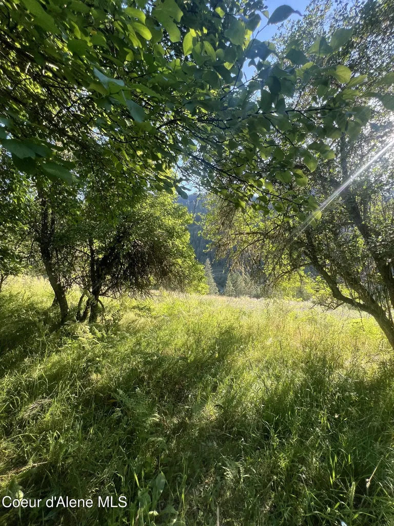 Nka Clearcreek Road Kooskia ID 83539