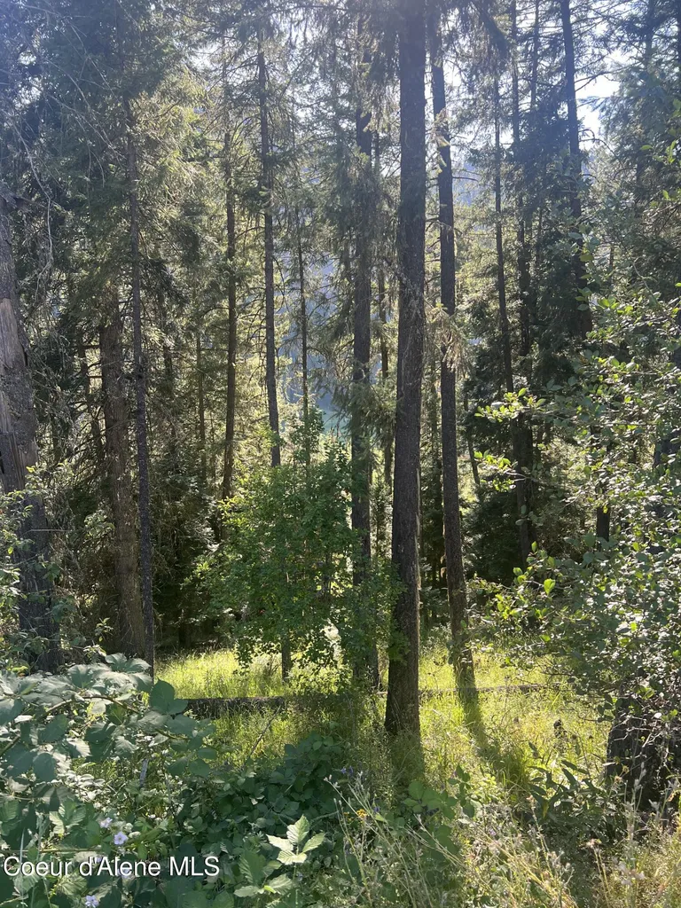 Nka Clearcreek Road Kooskia ID 83539