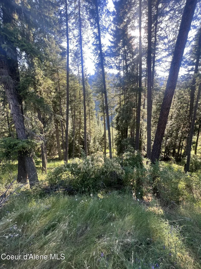 Nka Clearcreek Road Kooskia ID 83539
