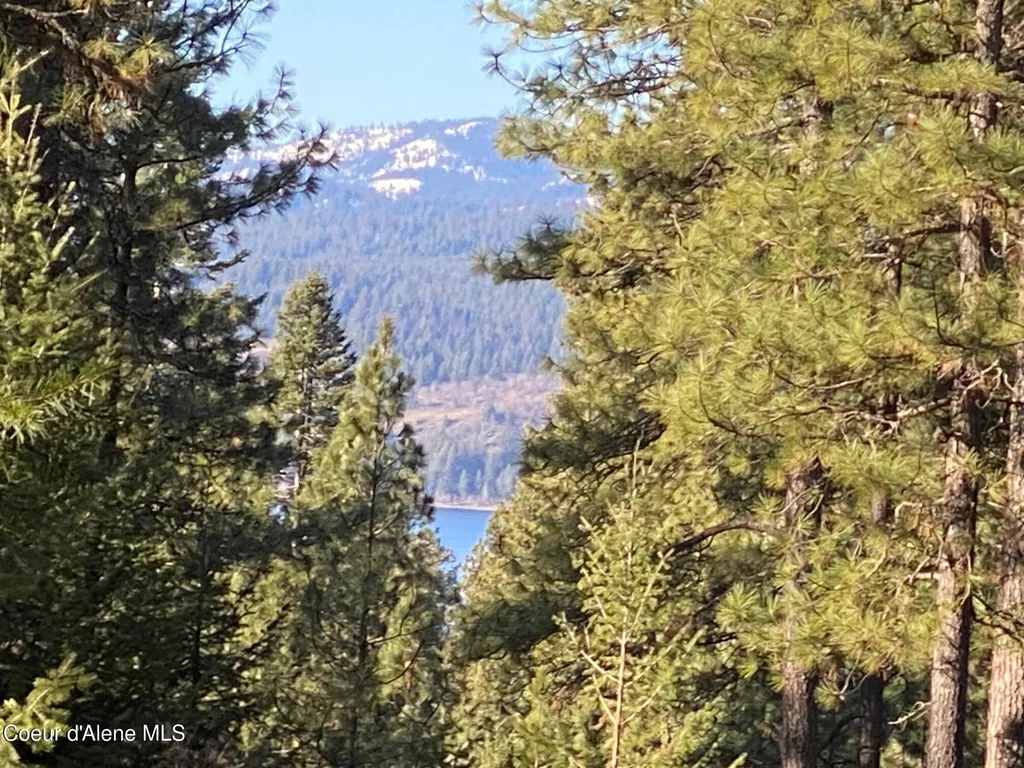 Nka S Edgewater Drive Harrison ID 83833