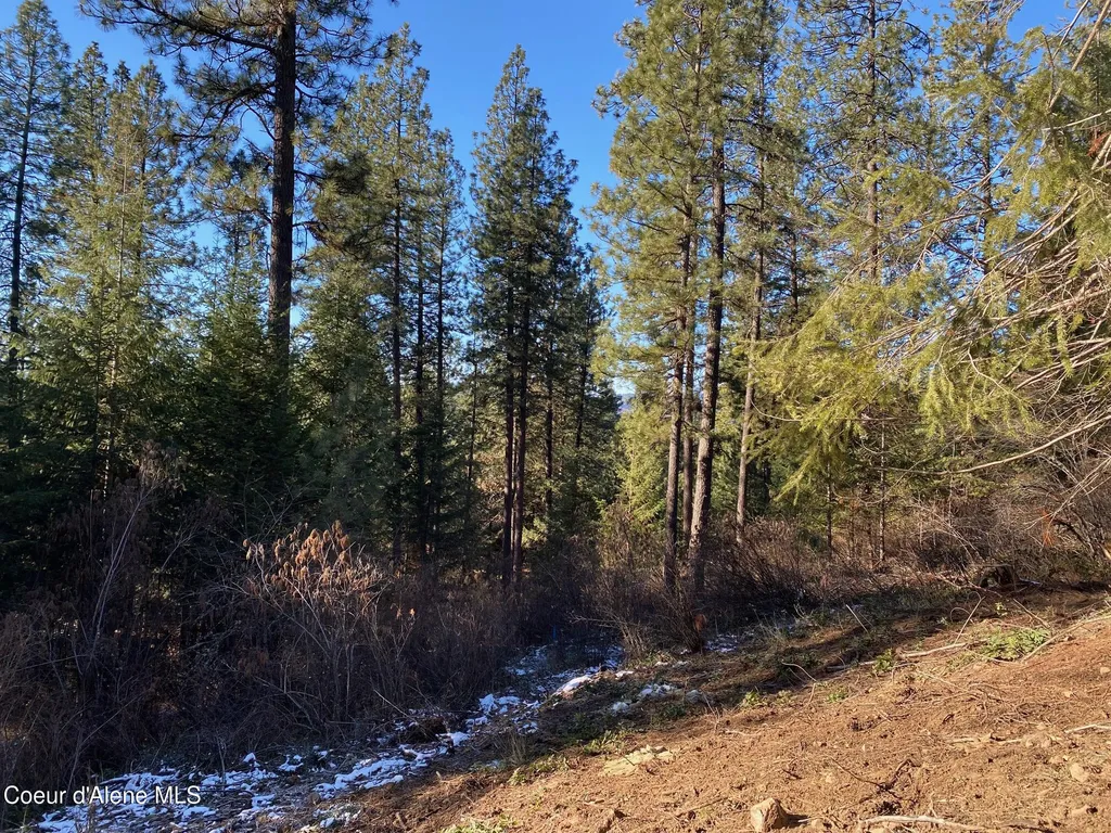 Nka S Edgewater Drive Harrison ID 83833