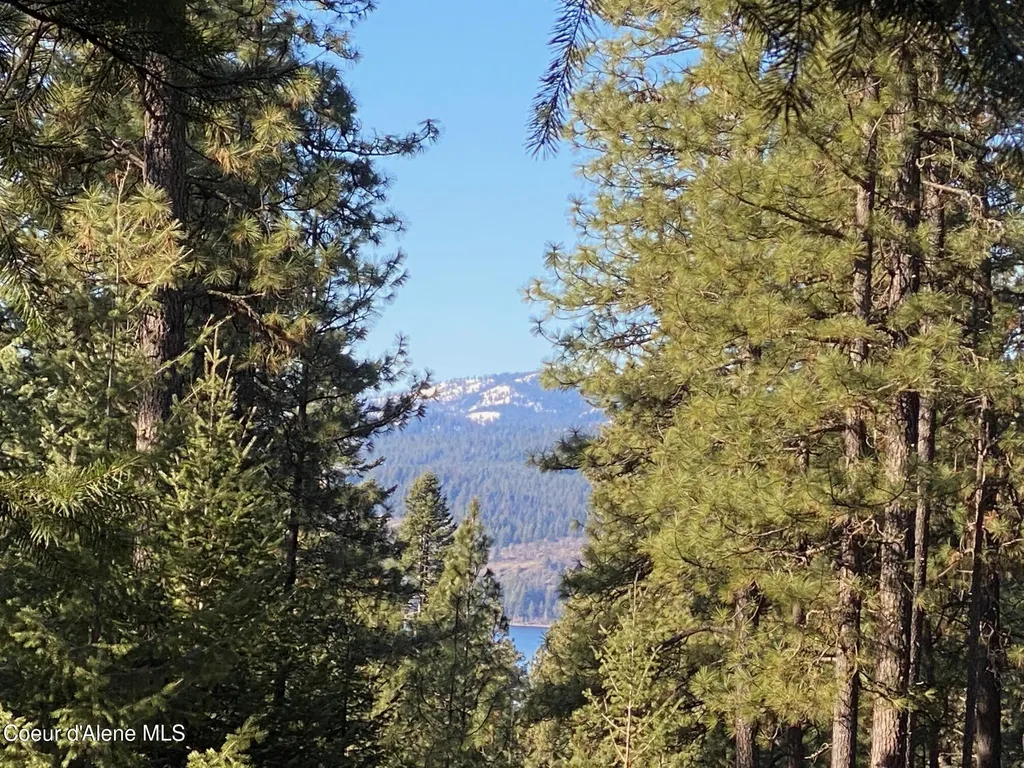 Nka S Edgewater Drive Harrison ID 83833