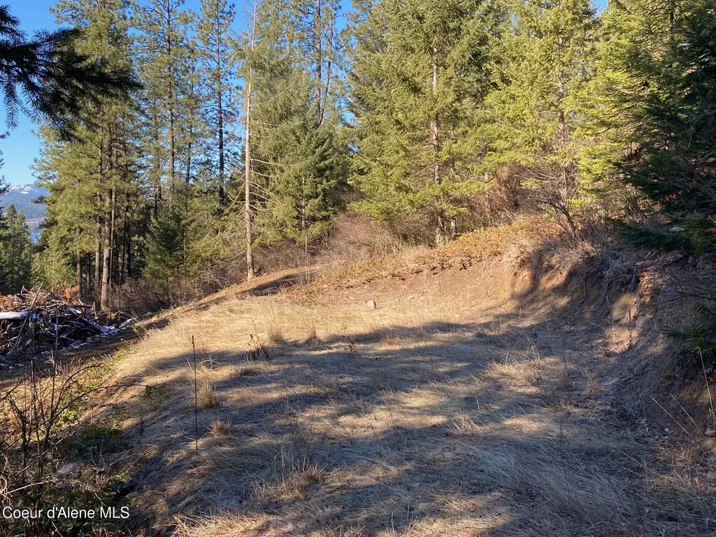 Nka S Edgewater Drive Harrison ID 83833