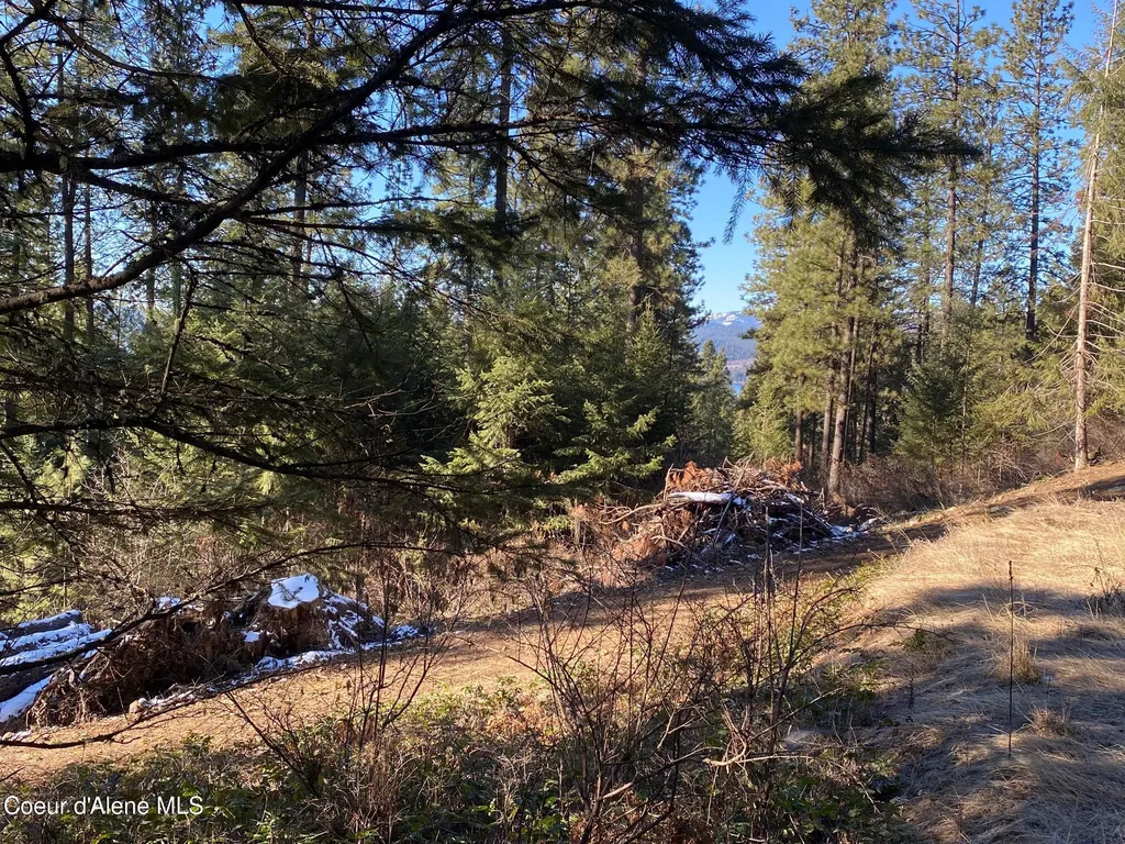 Nka S Edgewater Drive Harrison ID 83833