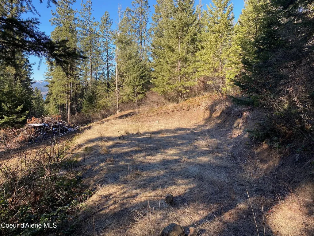 Nka S Edgewater Drive Harrison ID 83833