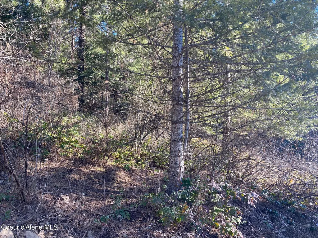 Nka S Edgewater Drive Harrison ID 83833