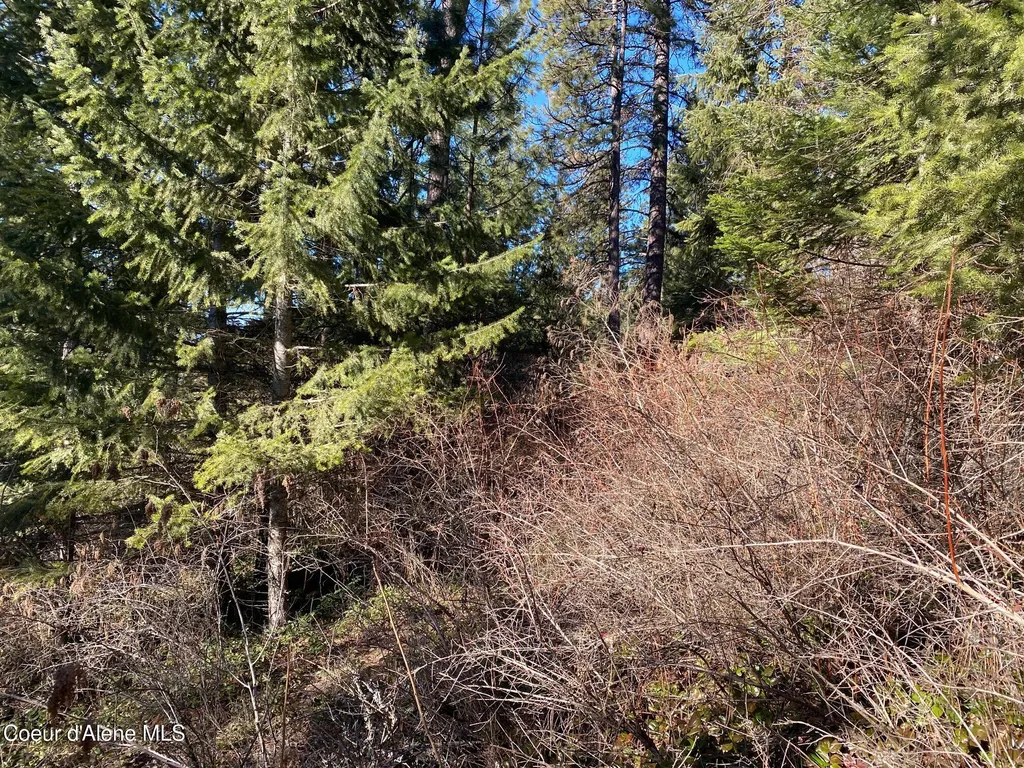 Nka S Edgewater Drive Harrison ID 83833