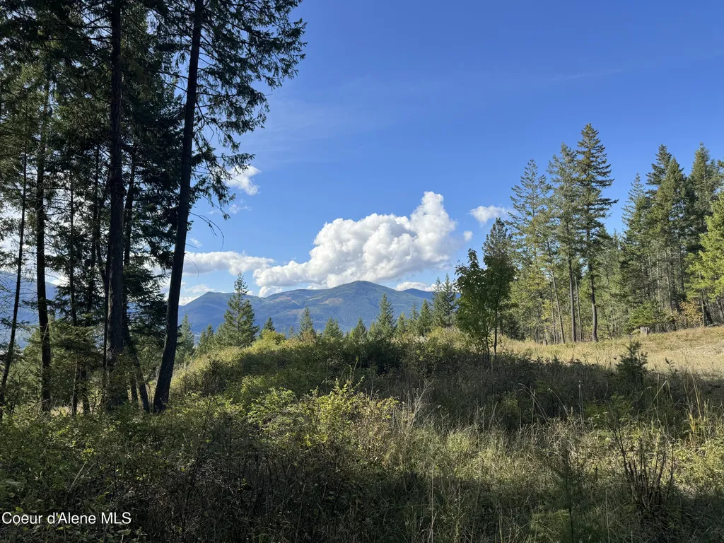 Nna Bootlegger Lane - Stein Mountain Bonners Ferry ID 83805