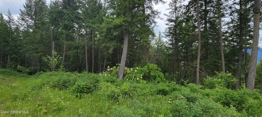 Nna Bootlegger Lane - Stein Mountain Bonners Ferry ID 83805