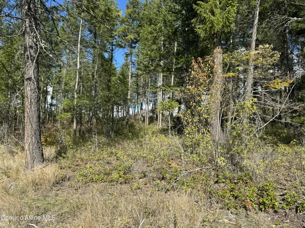 Nna Bootlegger Lane - Stein Mountain Bonners Ferry ID 83805