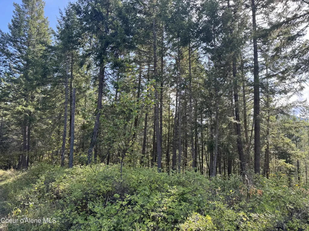 Nna Bootlegger Lane - Stein Mountain Bonners Ferry ID 83805
