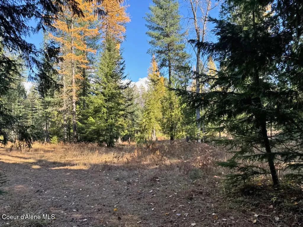 Nna Selkirk Road Sandpoint ID 83864