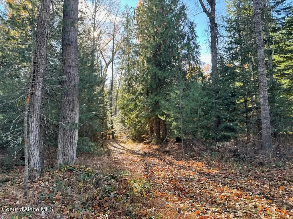Nna Selkirk Road Sandpoint ID 83864