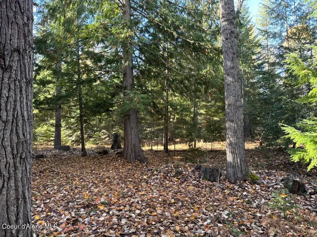 Nna Selkirk Road Sandpoint ID 83864