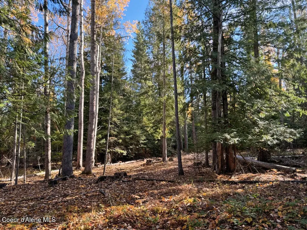 Nna Selkirk Road Sandpoint ID 83864
