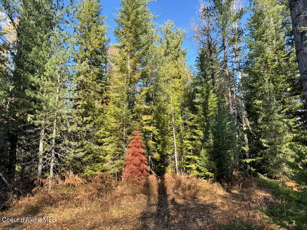 Nna Selkirk Road Sandpoint ID 83864