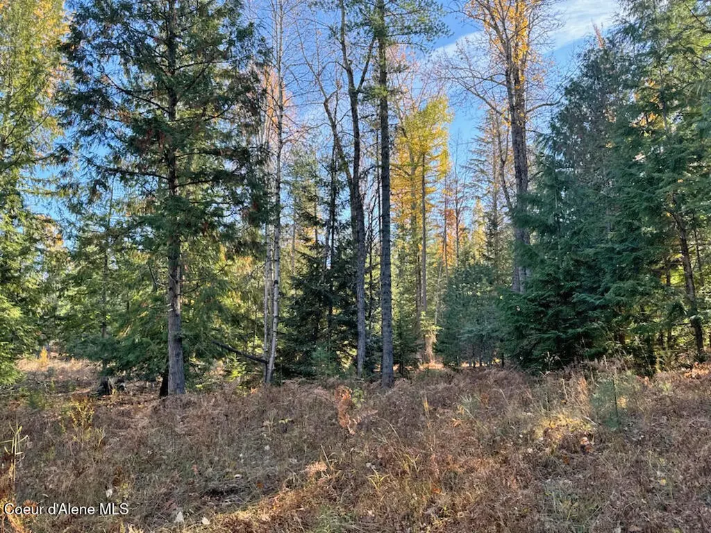 Nna Selkirk Road Sandpoint ID 83864