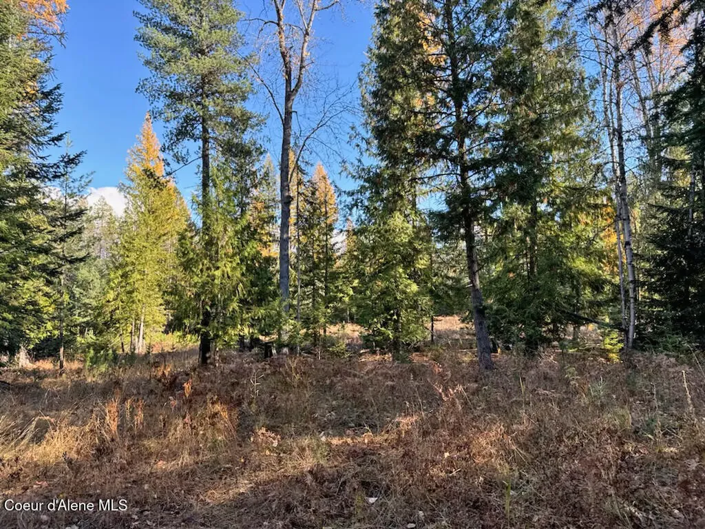 Nna Selkirk Road Sandpoint ID 83864