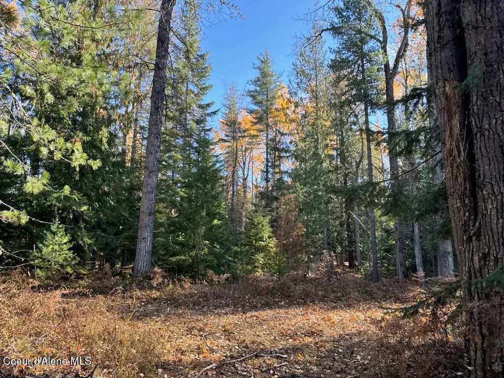 Nna Selkirk Road Sandpoint ID 83864